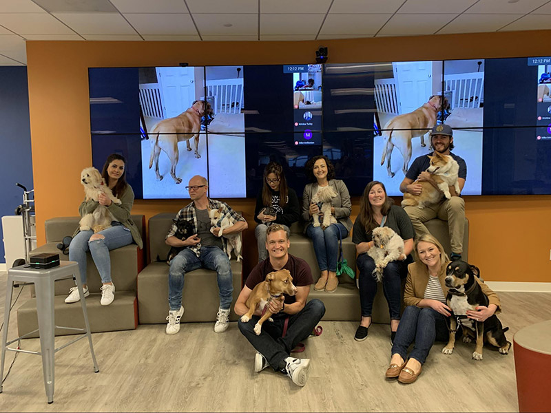 Life at SADA - Team with Puppies