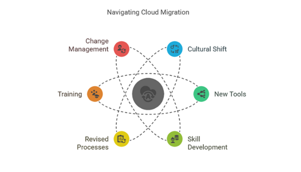 Organisational changes